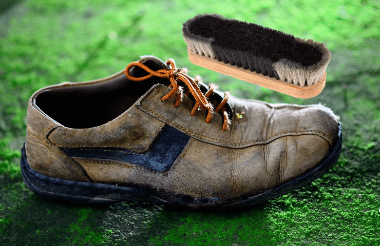 clean molds off leather shoes