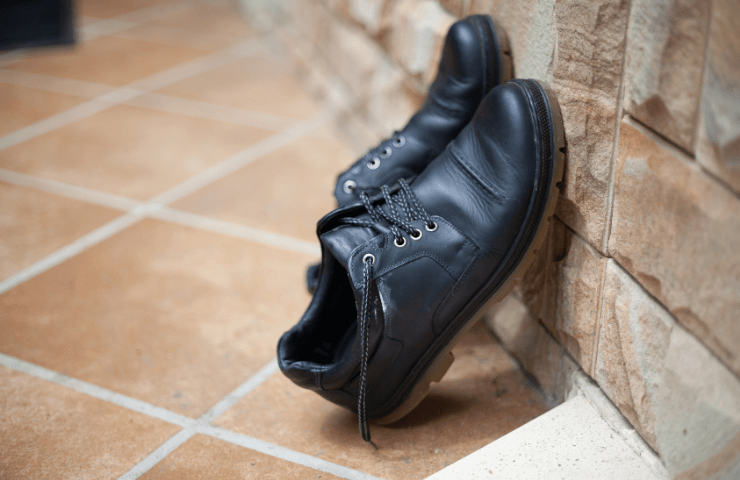 Drying of moldy leather shoes