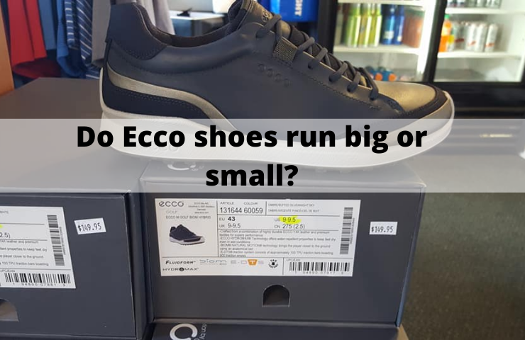 Do Ecco Shoes Run Big or Small? [Get the Right Fit!]