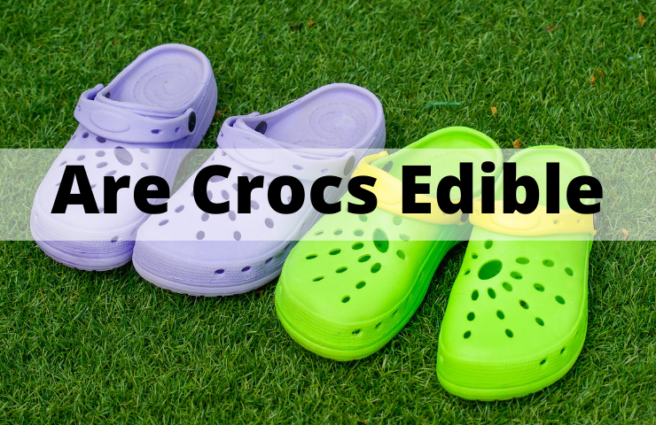 Are Crocs Edible? (Can You Eat Them Safely)