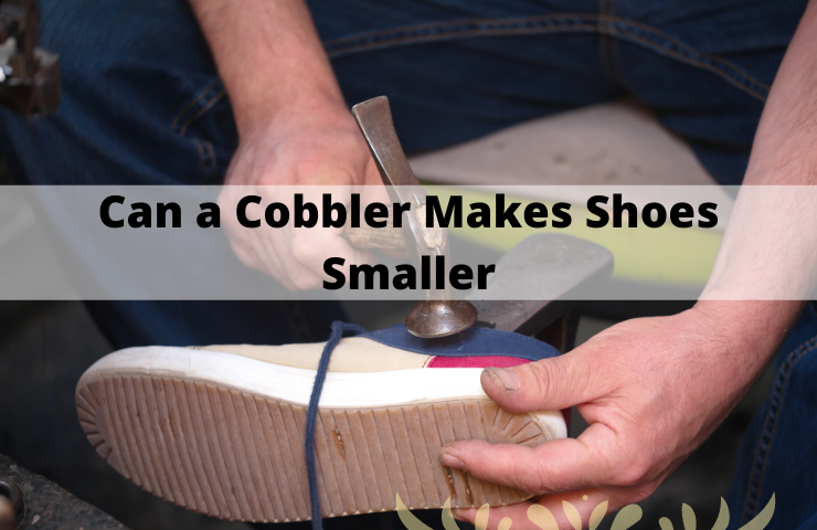 Can a Cobbler Make Shoes Smaller? (Explore and Learn!)