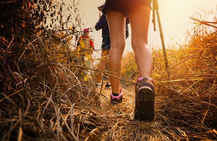 Are Running Shoes Good for Hiking? (They Can Be!)