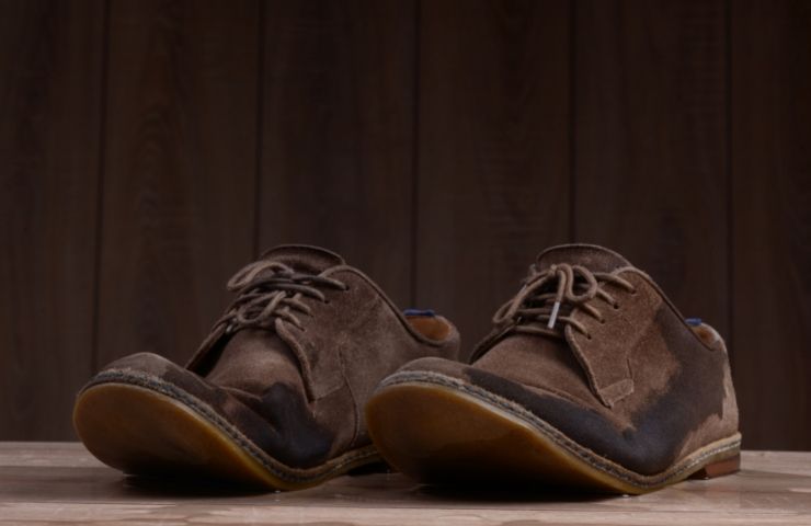 Can Suede Shoes Get Wet? (Some Important Facts!)